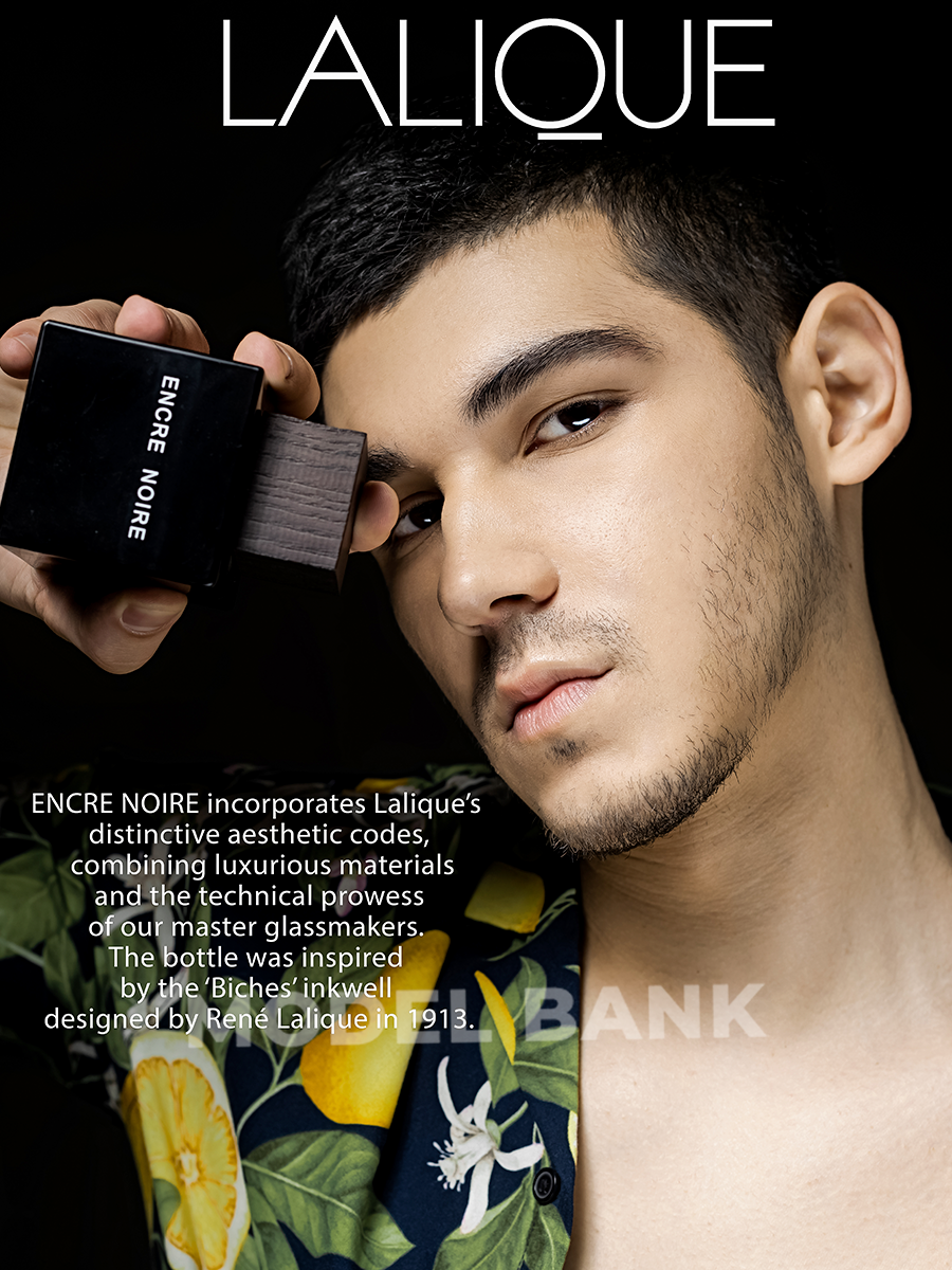 Tim Modelbank2